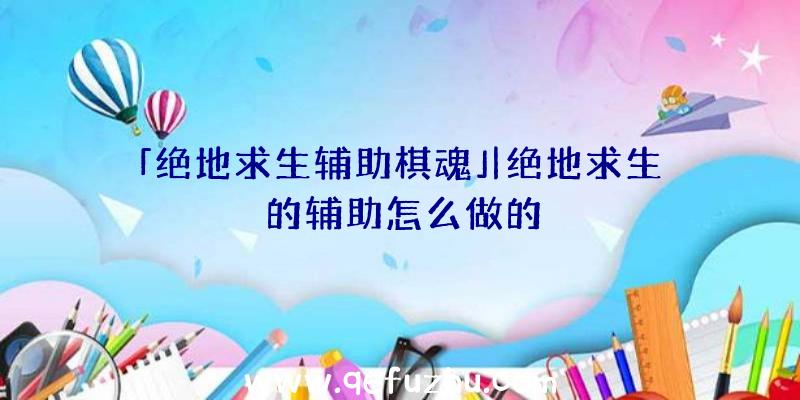 「绝地求生辅助棋魂」|绝地求生的辅助怎么做的
